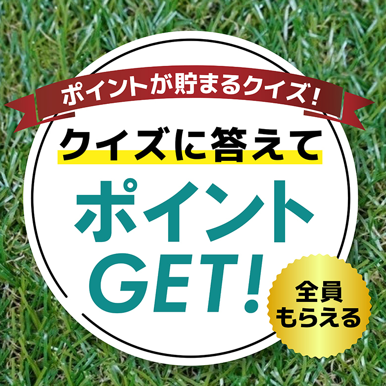 【ポイントが貯まる】スイカクイズ
