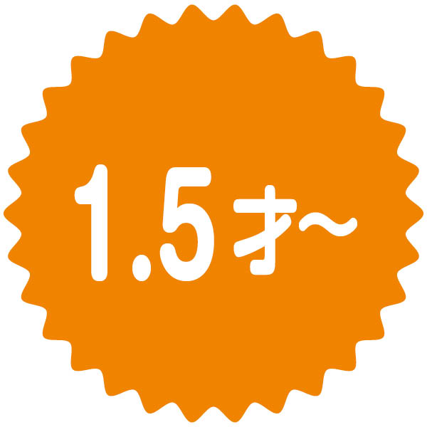 たっぷりキーでカタカタ楽しい！アンパンマンおしゃべりパソコン