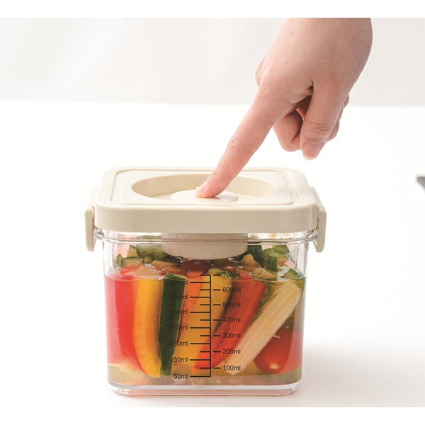 プッシュでかんたん真空ボックス 小(700ml)