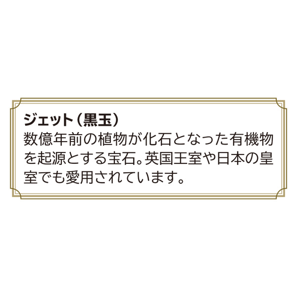 ジェット2点セット　ネックレス・ピアス